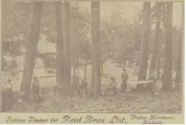 Australian Letter Cards Stamped to Order